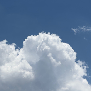 波多野结衣守望人妻
